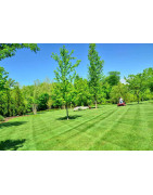 Manutenzione erba sintetica