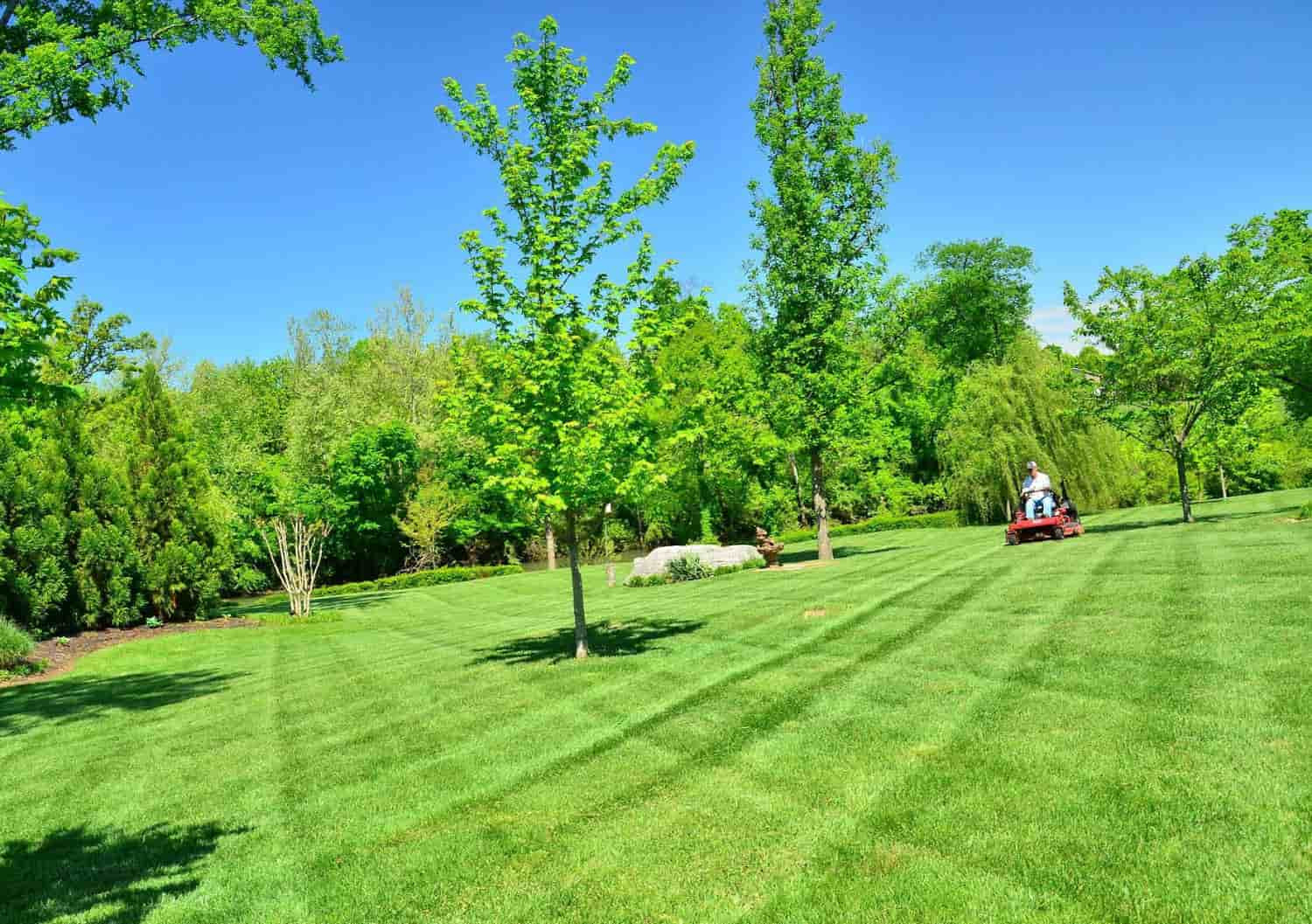 Manutenzione erba sintetica